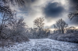 unbenannt-1-wenzel-oschington NIK