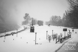 winter2026-402-wenzel-oschington.B