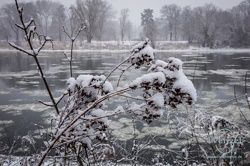 winter2026-404-wenzel-oschington