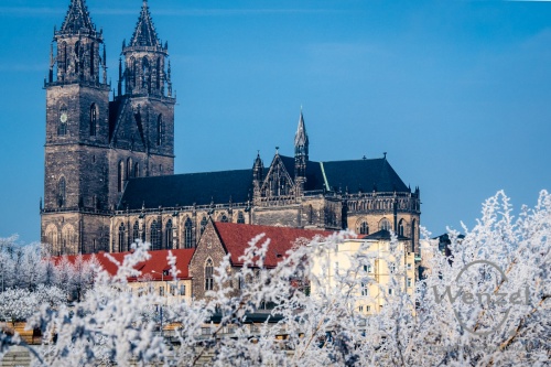 dom-winter-111-(c)-wenzel-oschington.JPG
