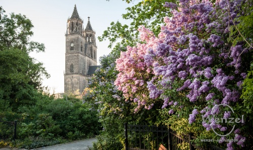 dom-magdeburg-mal-anders-317-(c)-wenzel-oschington.jpg